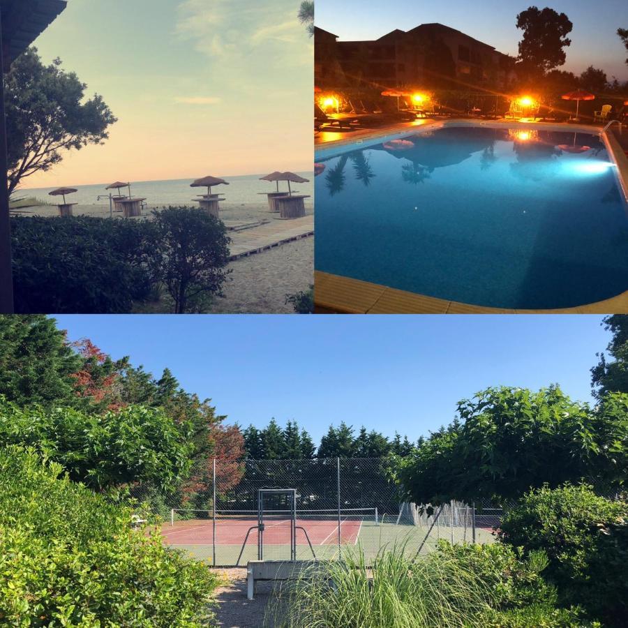 Joli T2 Les Pieds Dans L'Eau , Piscine Tennis.... San-Nicolao Buitenkant foto